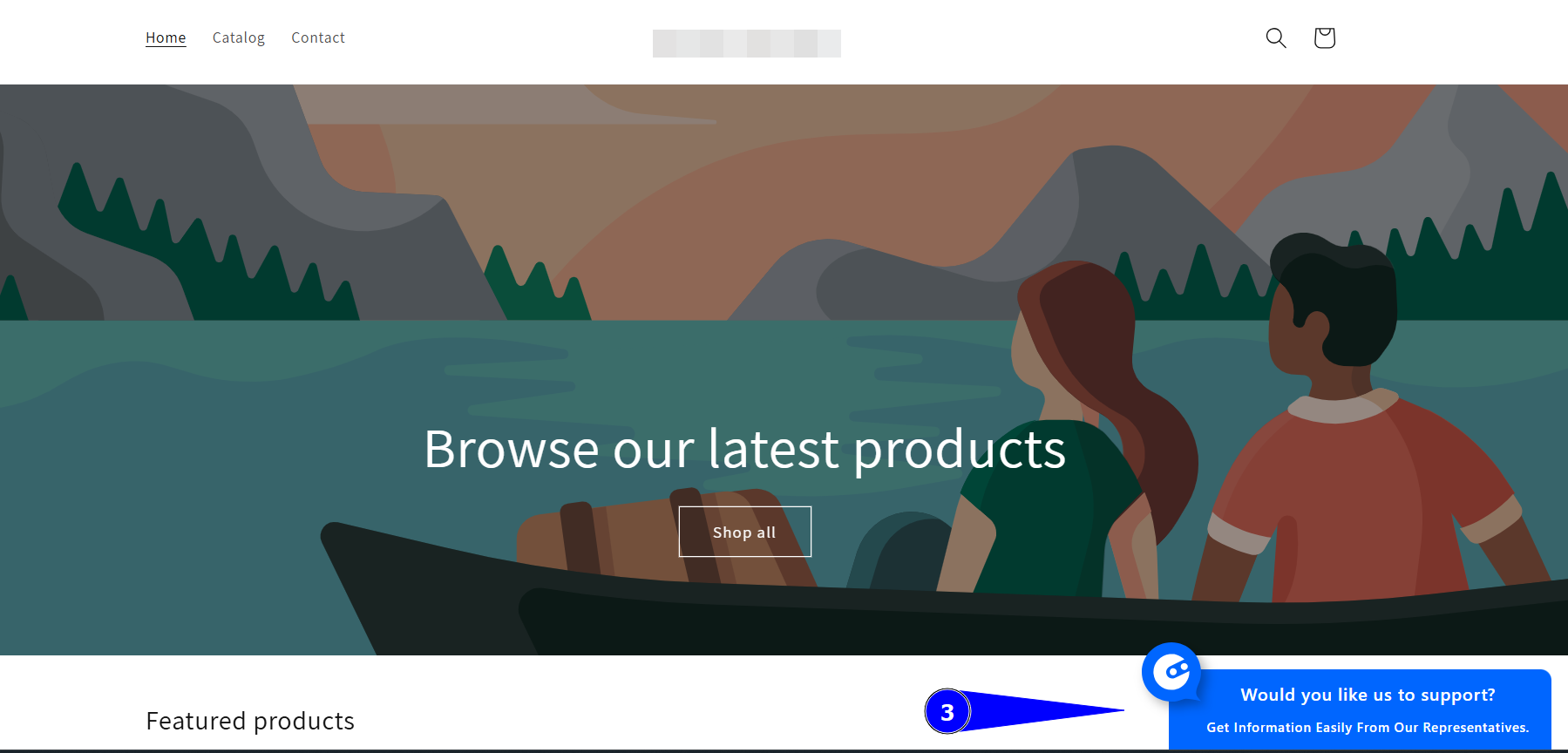 Website Görünümü